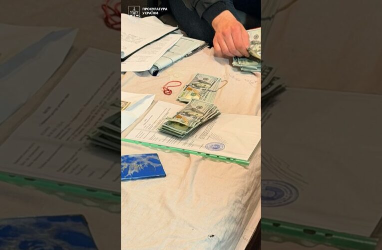 Операції на здорових руках і фіктивні довідки: 40 обшуків і викриття лікарів на Вінниччині