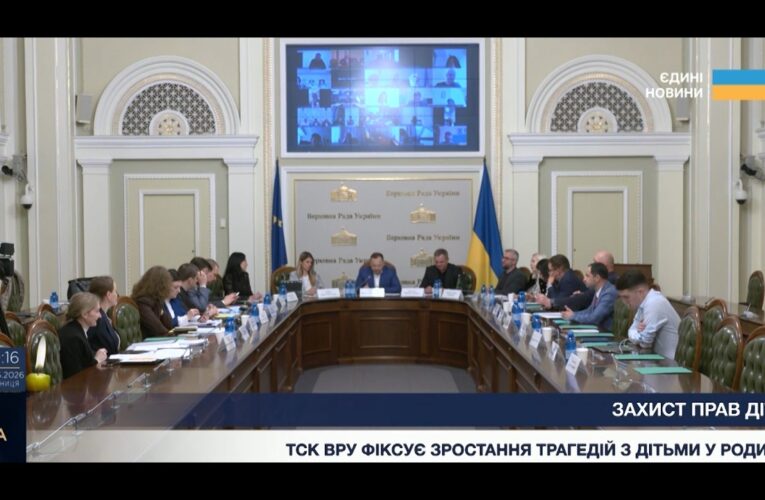 Безпека дітей у родинах: результати роботи парламентського ТСК