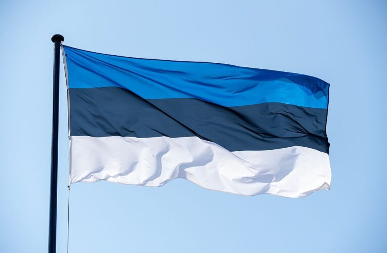 Естонія направила ноту посольству Росії через дезінформацію щодо дронів