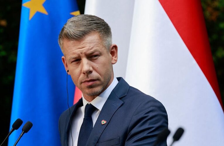 Мадяр зробив заяву щодо гарантій для України