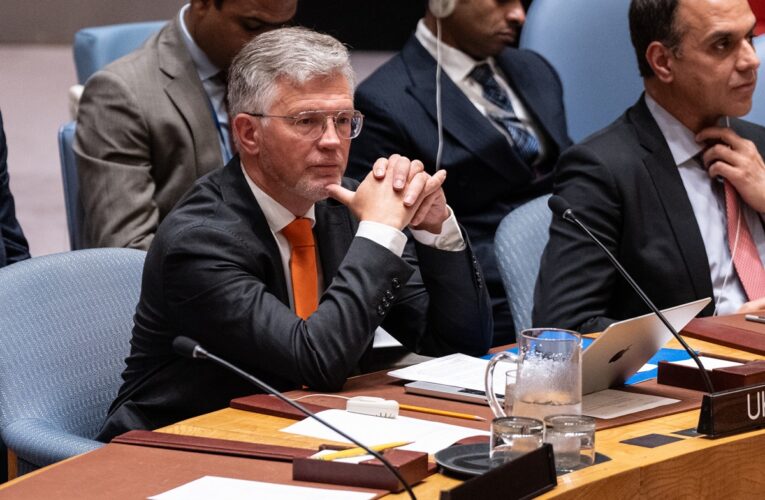 Мельник на Радбезі ООН спростував російський фейк про Старобільськ
