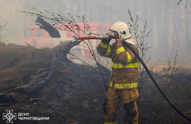 На Чернігівщині локалізували лісову пожежу