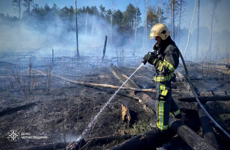 На Чернігівщині палають тисячі гектарів лісу