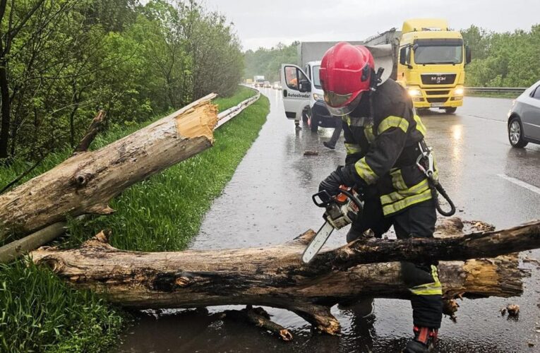 Повалені дерева перекрили траси: Україну накрила негода