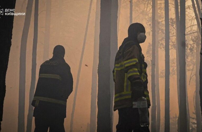 Пожежа в Чорнобильській зоні: експерти оцінили рівень радіації