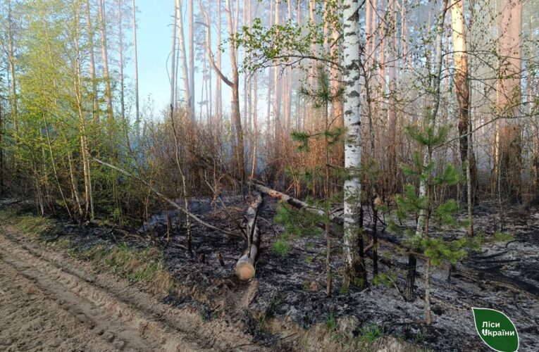 Пожежу площею 5800 га локалізували на Чернігівщині