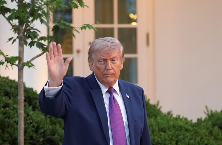 Трамп вирушає в Китай на зустріч із Сі Цзіньпіном