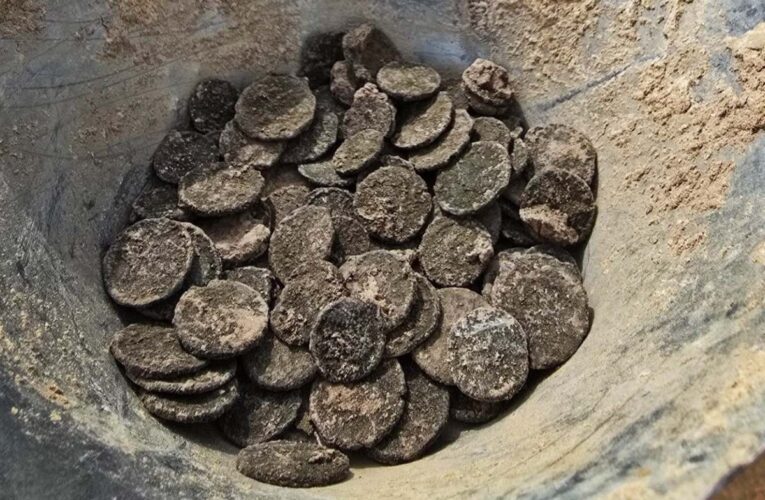 У Хорватії знайшли більше 300 римських монет