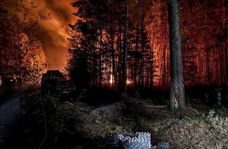 У Зоні відчуження триває ліквідація лісової пожежі