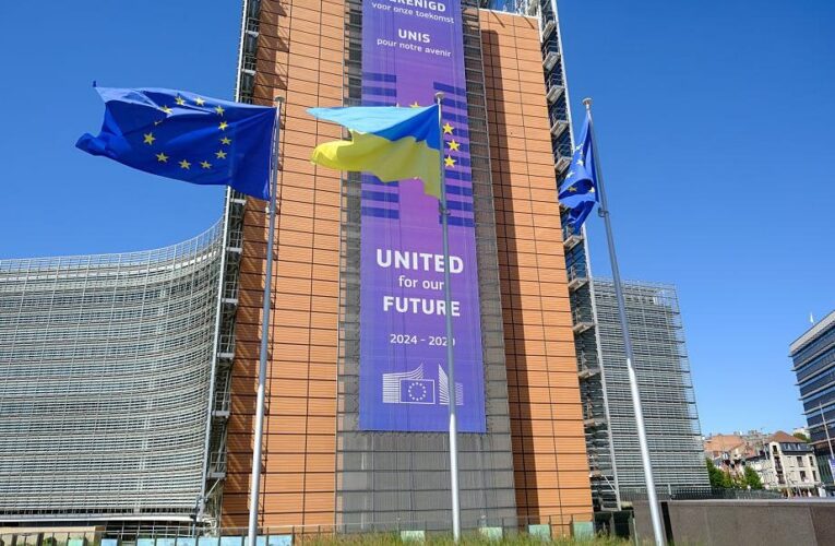 Українці висловили своє бачення, яким буде майбутнє України в ЄС