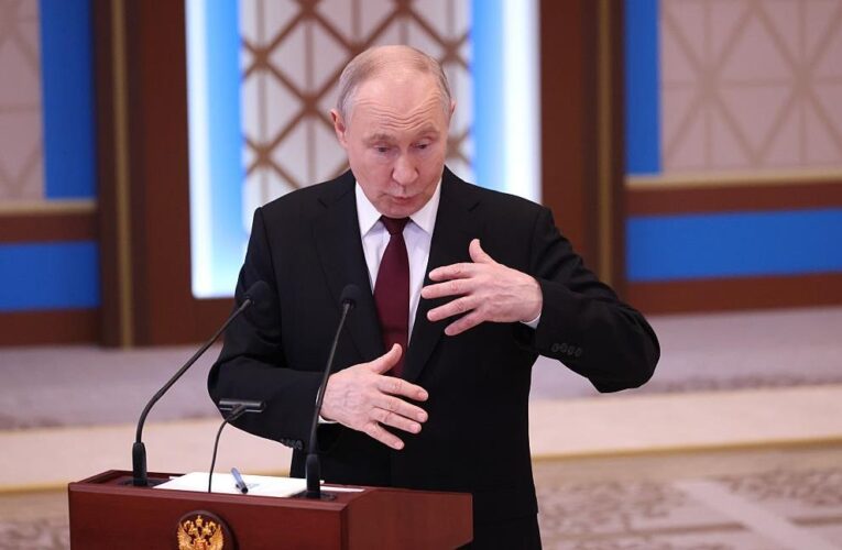 Вчені пообіцяли Путіну запасні органи з генномодифікованих свиней – ЗМІ