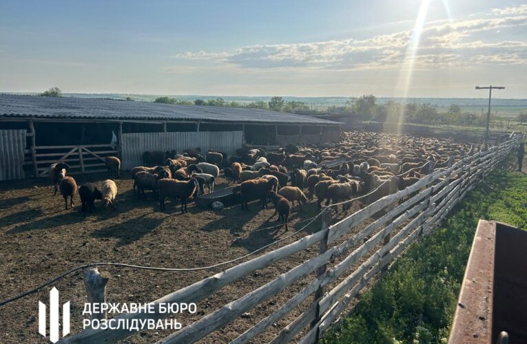 Викрито схему привласнення коштів в Держпродспоживслужбі