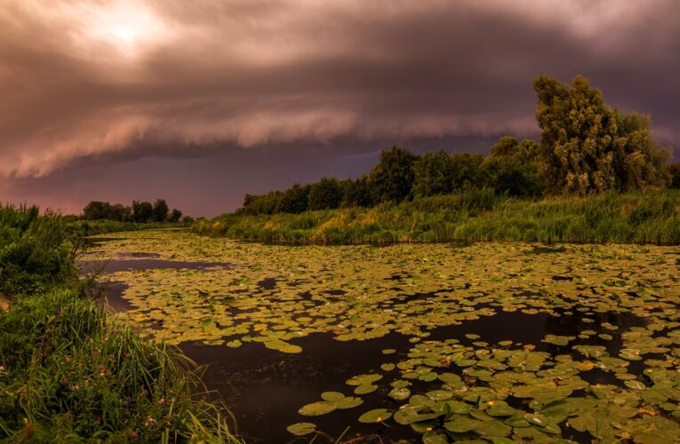 Грози та дощі прогнозують у більшості регіонів України