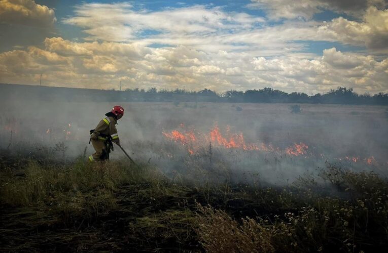 На Миколаївщині через удар Росії горіли 10 га поля