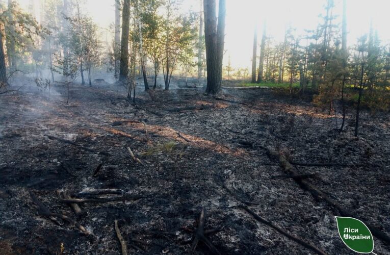 На Житомирщині російські дрони спричинили п&rsquo;ять лісових пожеж