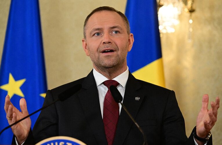 Навроцький пояснив, чому позбавив Зеленського ордена