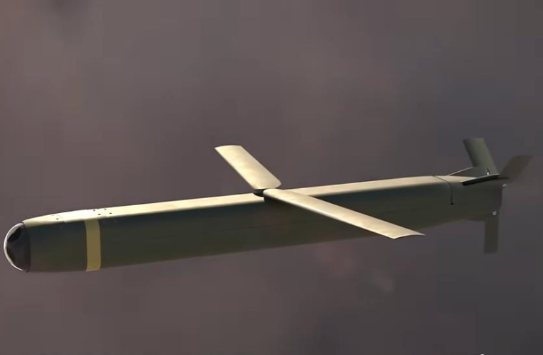 США випробували ракету Jackal, яка здатна самостійно виявити ціль