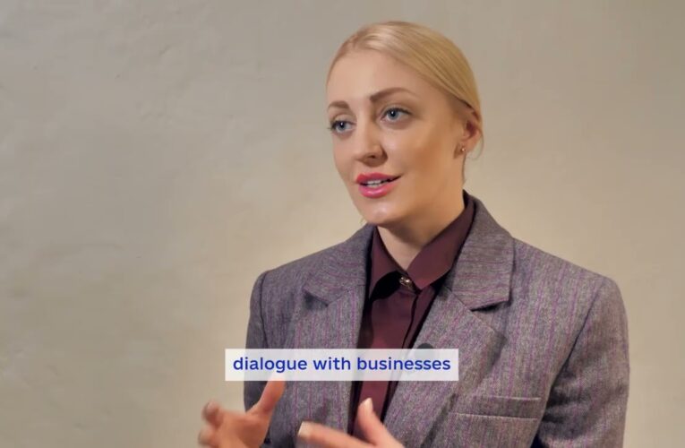 Faces of European Integration: Preparing the economy for integration into the EU internal market
