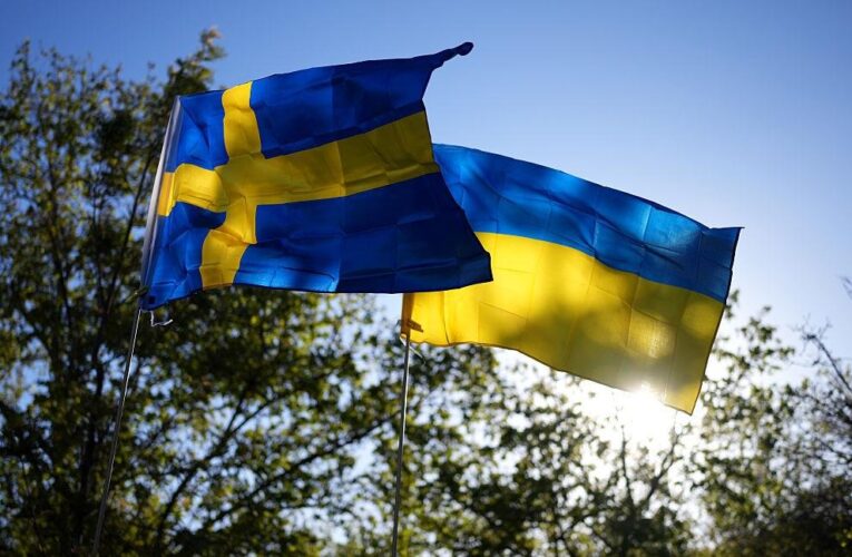 Україна отримала 236 млн євро за проєктом PEACE