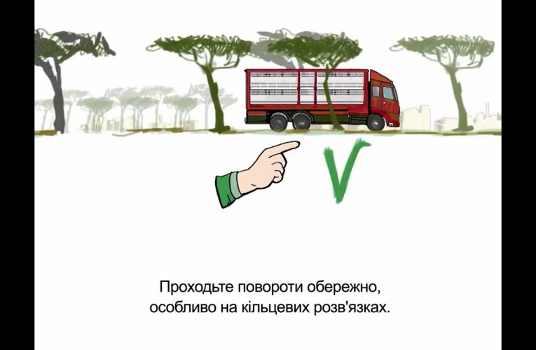 Належні та кращі практики транспортування овець