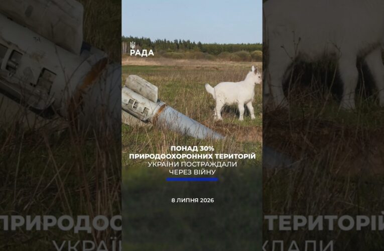 🗓️ 08.07.2026☀️ Ранкові новини🔴 1596-ий день війни