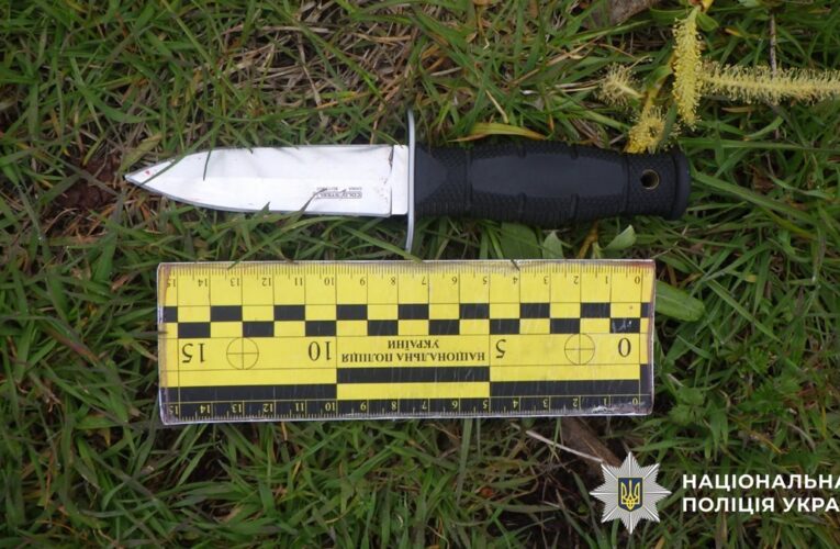 Киянину загрожує вісім років за ножовий напад у парку
