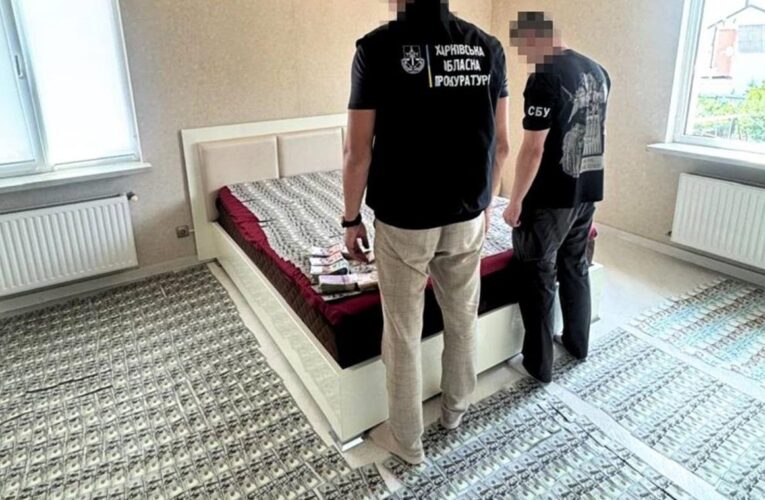 Лікарі заробили мільйони на довідках ухилянтам