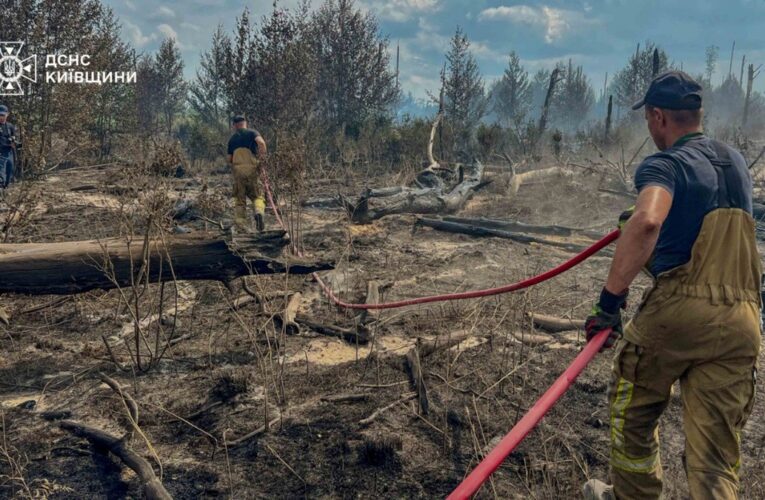 Масштабні пожежі в Чорнобильській зоні: що кажуть рятувальники