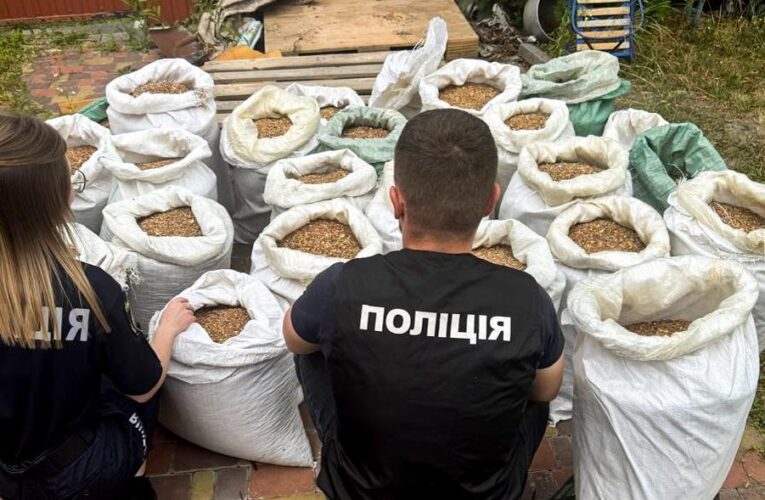 На Рівненщині викрили підпільний цех: вилучили бурштину на мільйони