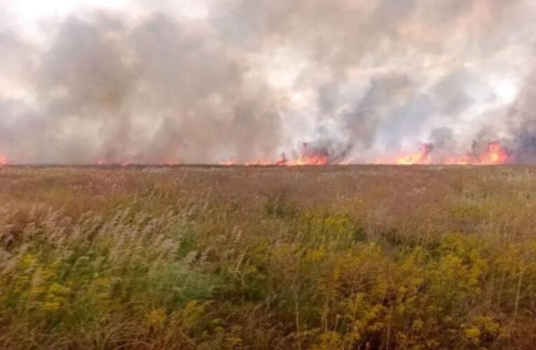 Окупанти спалили майже 2000 гектарів заповідника Асканія-Нова