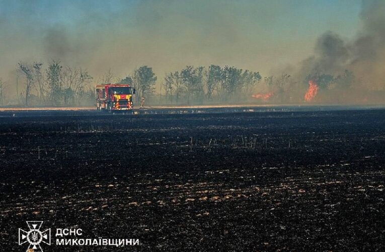 Росііяни вдарили по полях на Миколаївщині