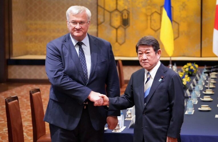 Сибіга підвів підсумки візиту до Японії
