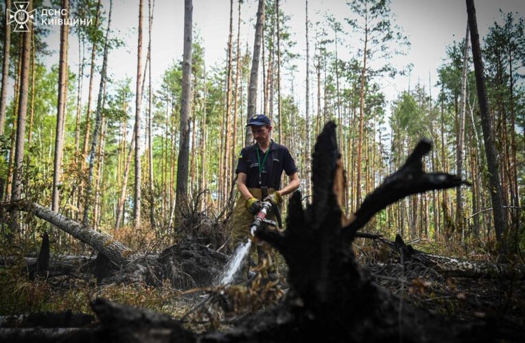 У Чорнобильській зоні загасили масштабну пожежу