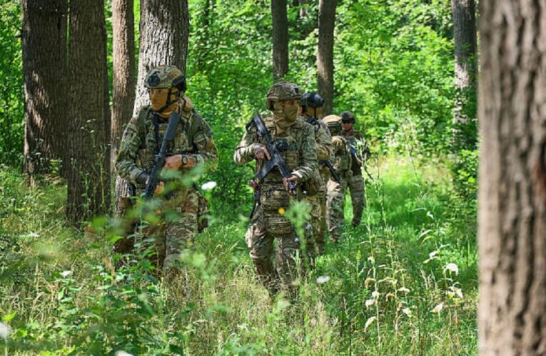 ЗСУ відкинули росіян біля села Філія – DeepState