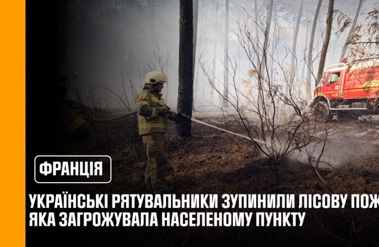 Українські рятувальники у Франції зупинили лісову пожежу, яка загрожувала населеному пункту