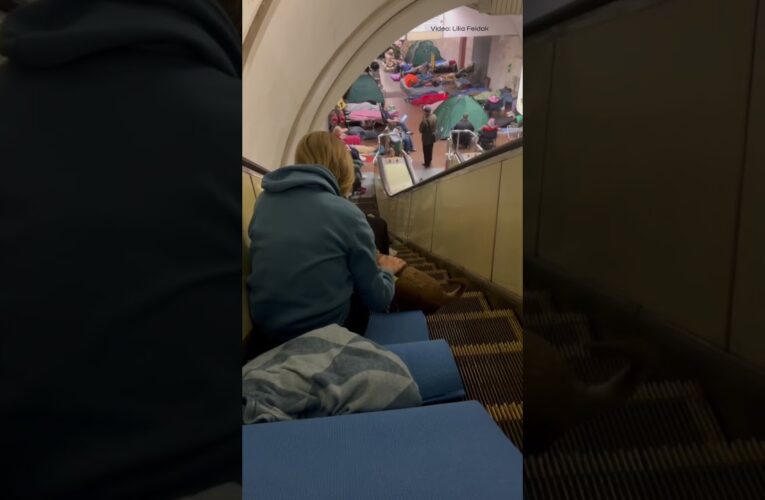 A dog with a girl sheltering from Russia’s overnight attack in Kyiv’s metro