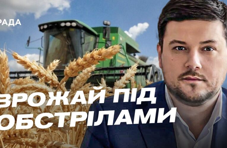 Експорт українського зерна: виклики та нові маршрути | Денис Марчук