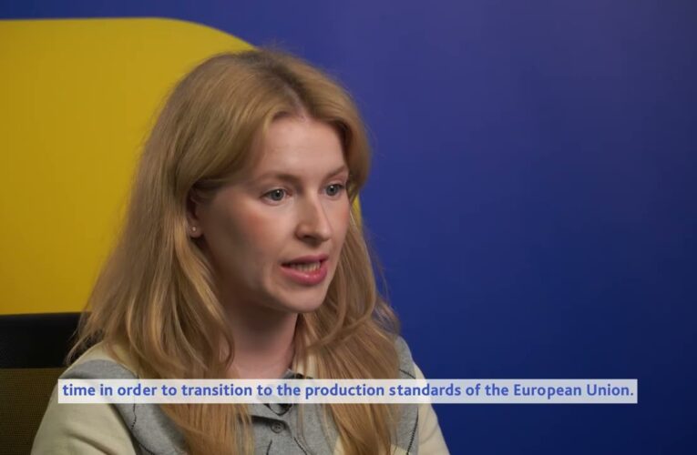 Faces of European Integration: Ukraine’s Agricultural Sector on the Path to the EU Market