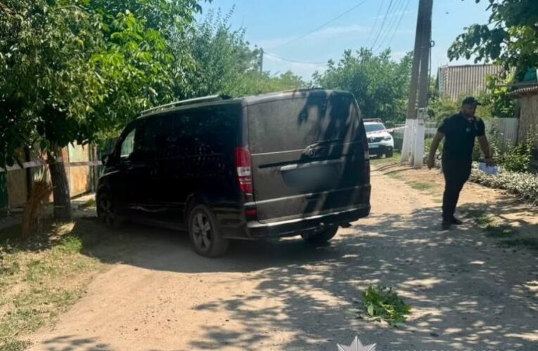 Мати на смерть збила однорічного сина на Одещині