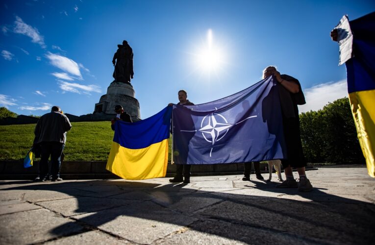 МЗС пояснило слова Залужного про НАТО