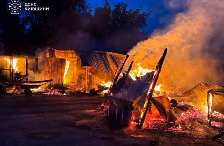 На Київщині горів притулок для тварин