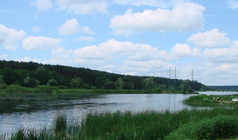 На Київщині попередили про забруднення водойм