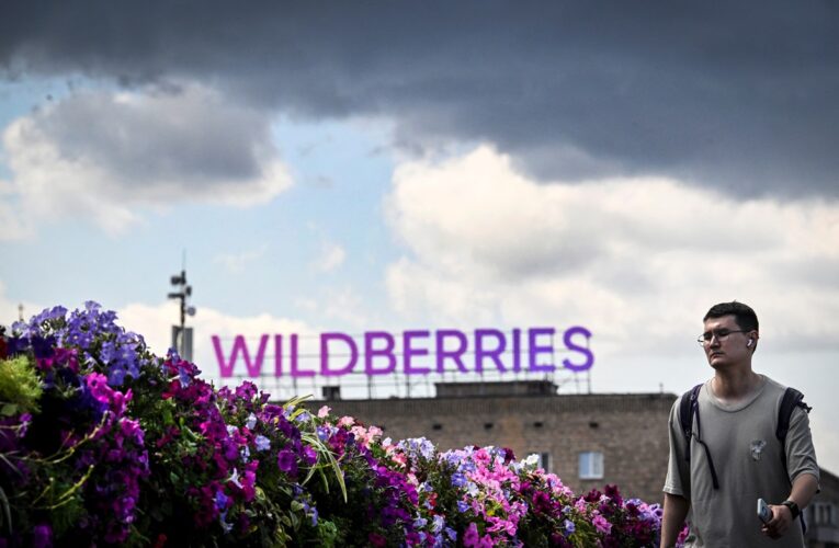 Після атак у РФ Wildberries розширює логістику в Казахстані