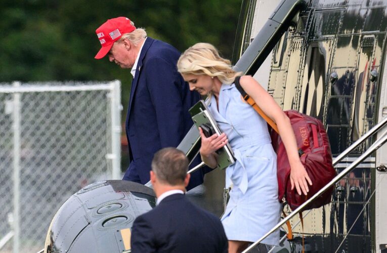 Тінь Трампа. Хто така Наталі Харп